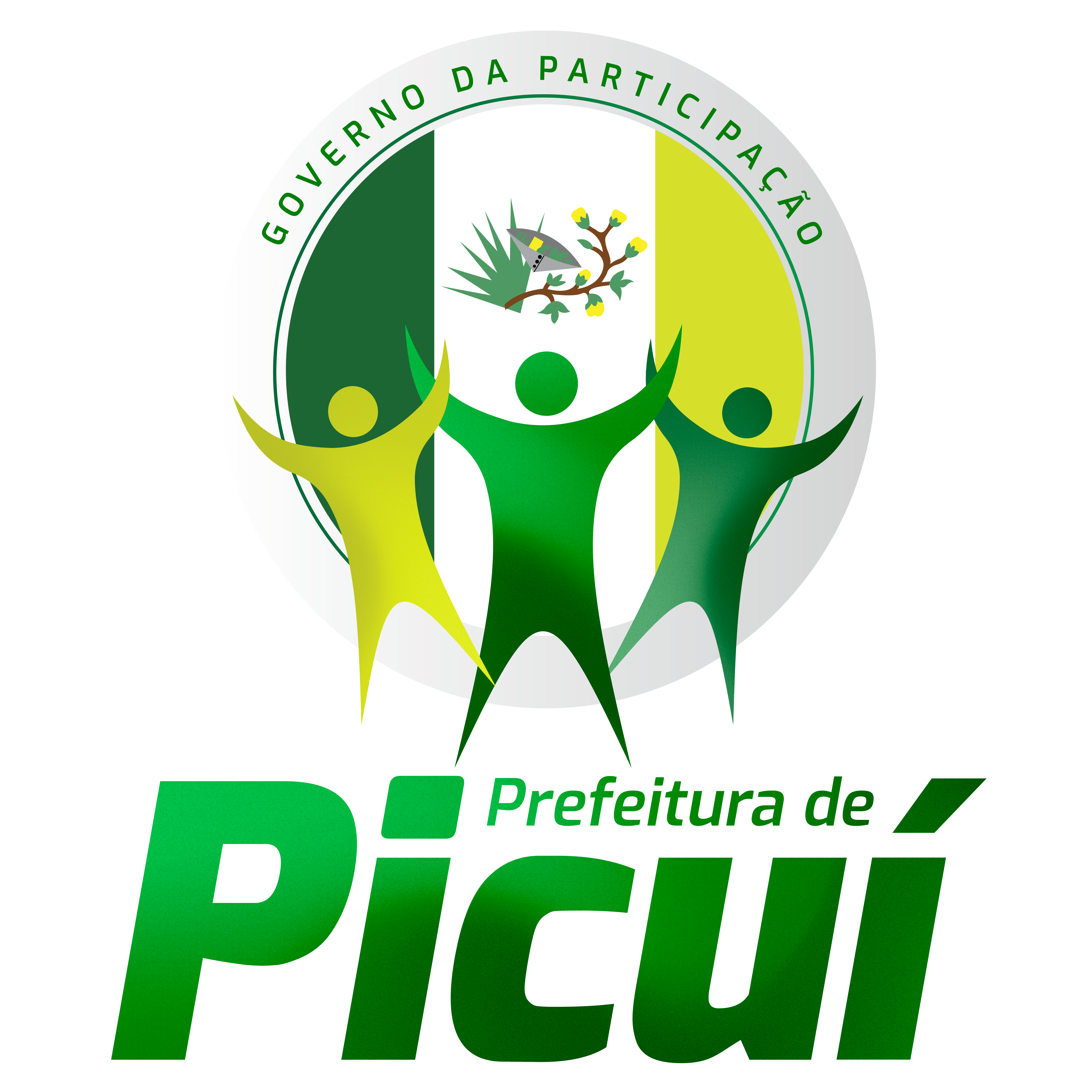 Prefeitura Municipal de PicuÃ­