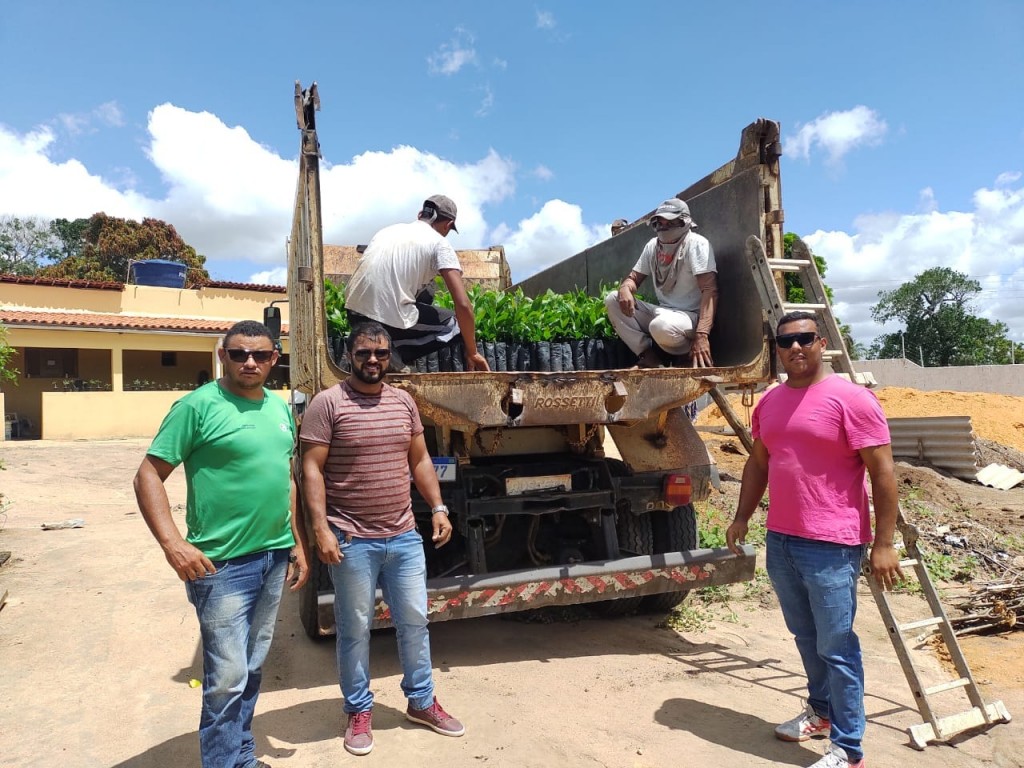 Município de Picuí plantará mais de duas mil mudas de árvores na zona urbana e rural
